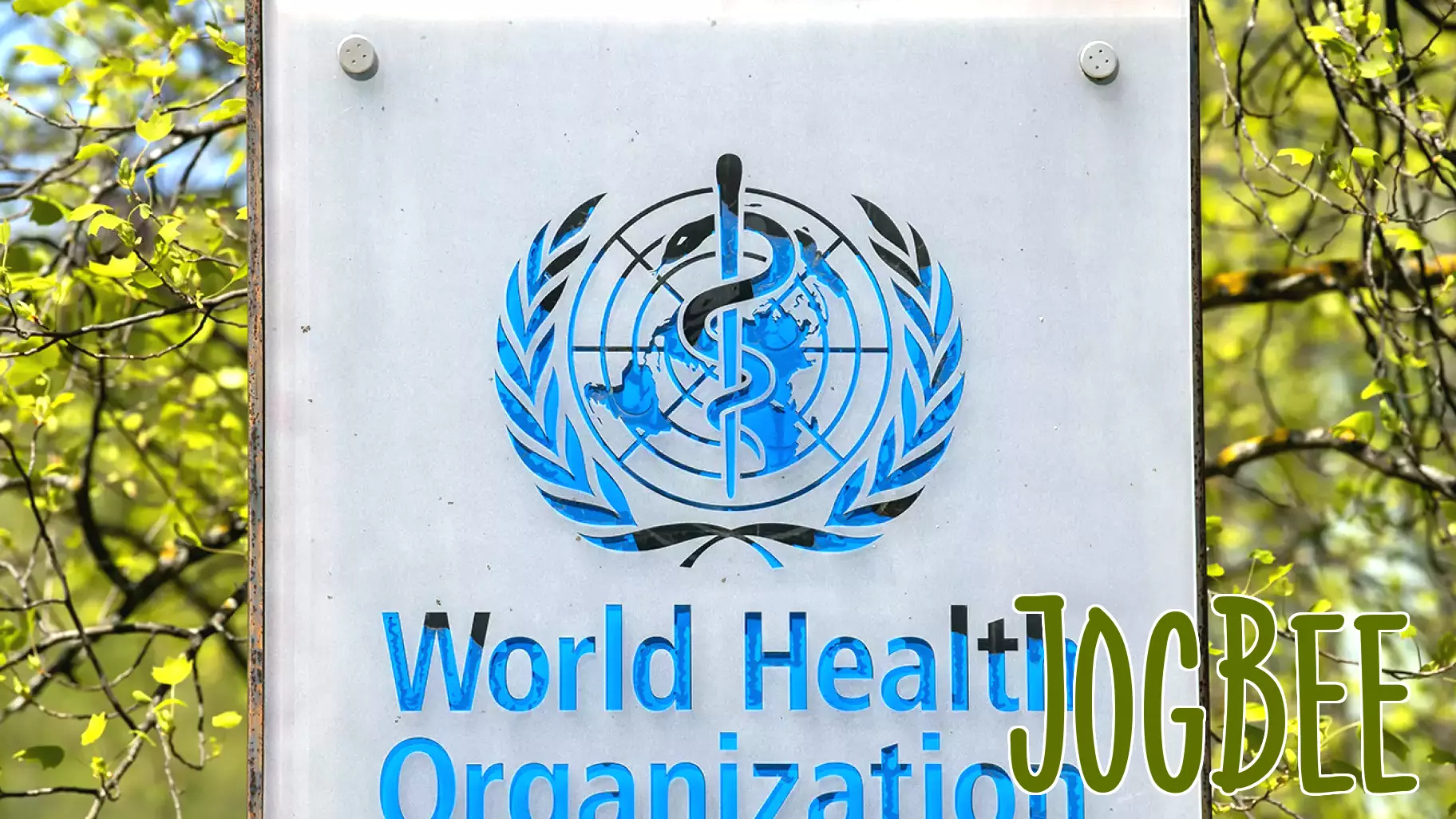 Implications of the US Withdrawal from the WHO on Global Health